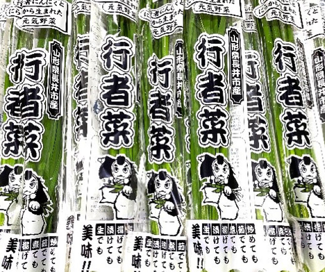 【長井特産】行者菜
